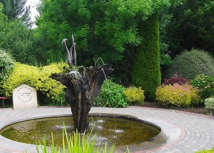 The Corner House, Dromod